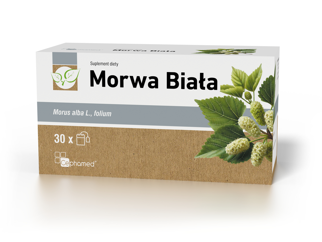 Morwa Biała fix